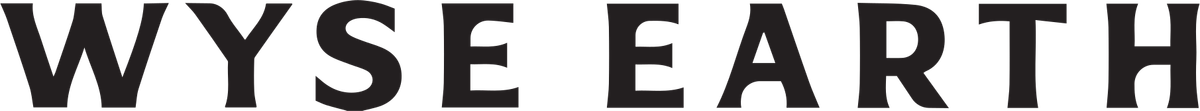 Wyse Earth logo